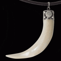 Кулон из Shiva Eye Кулон из Shiva Eye