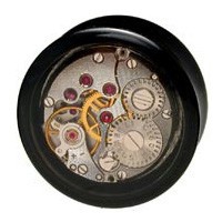 ���� SteamPunk