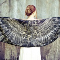       Black Wings