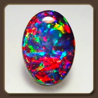  (Opal)