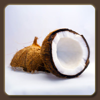  (Coconut)